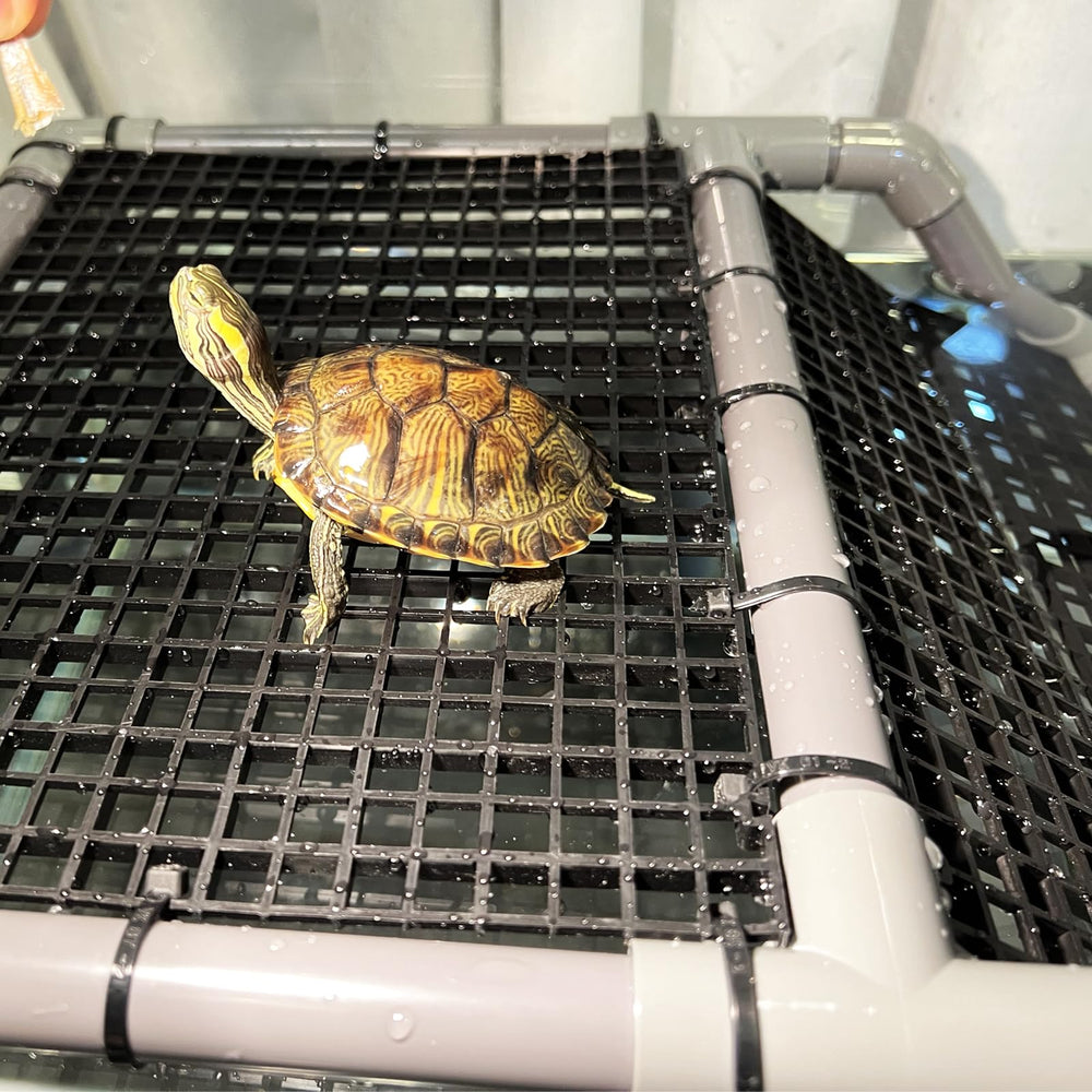 StellarOcean care-cleaning scene demonstrates simple maintenance routine