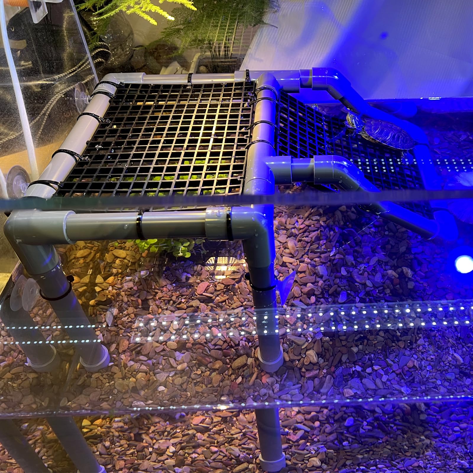 StellarOcean turtle basking platform minimum-tank-size indicator helps ensure proper fit for your aquarium.