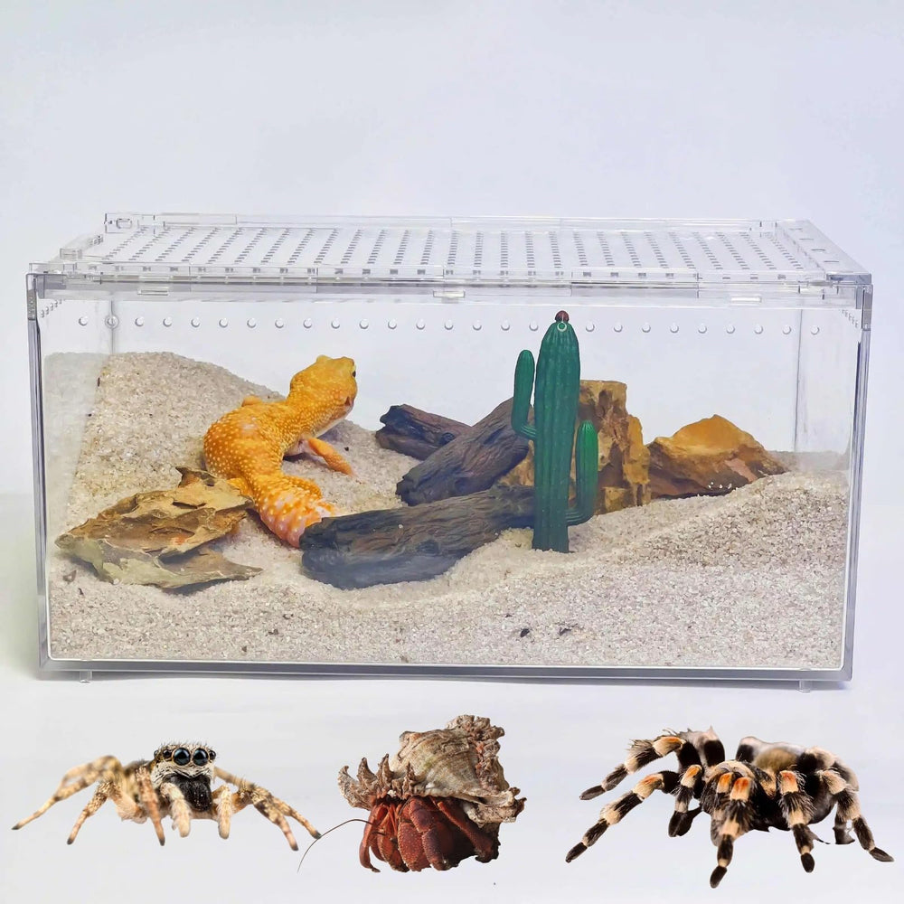 STELPAW PC reptile terrarium front view for clear observation and escape-proof design.