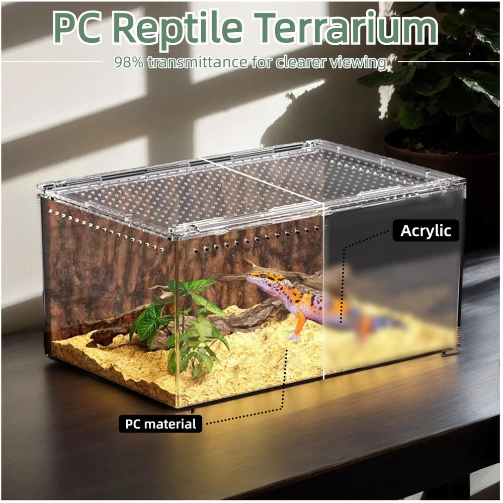 STELPAW enclosure-ready design supports versatile habitat setups.