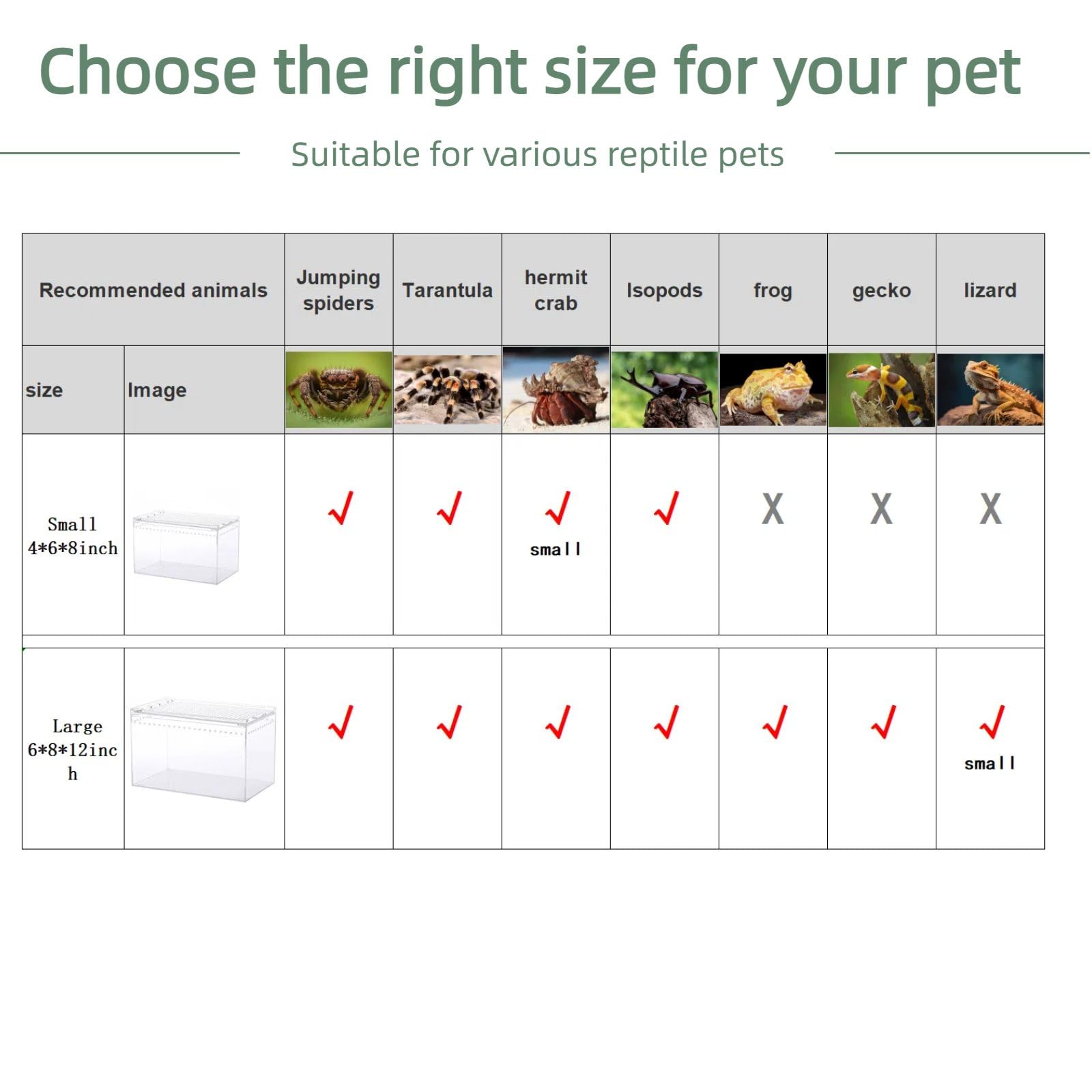 STELPAW terrarium ventilation holes optimize airflow for healthy habitats.