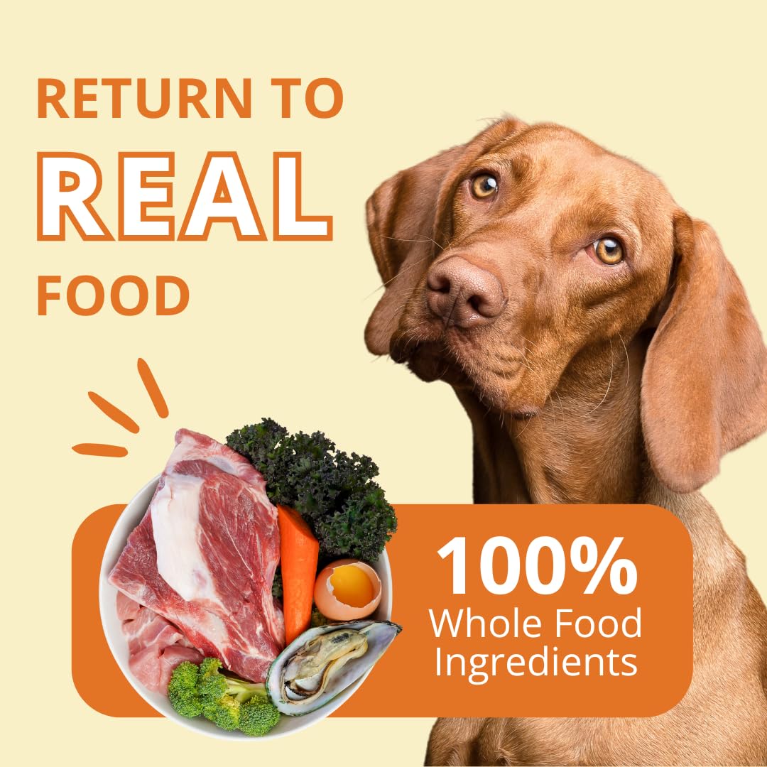 Steve's Real Food 20oz pack shows convenient raw feeding in a resealable pouch.