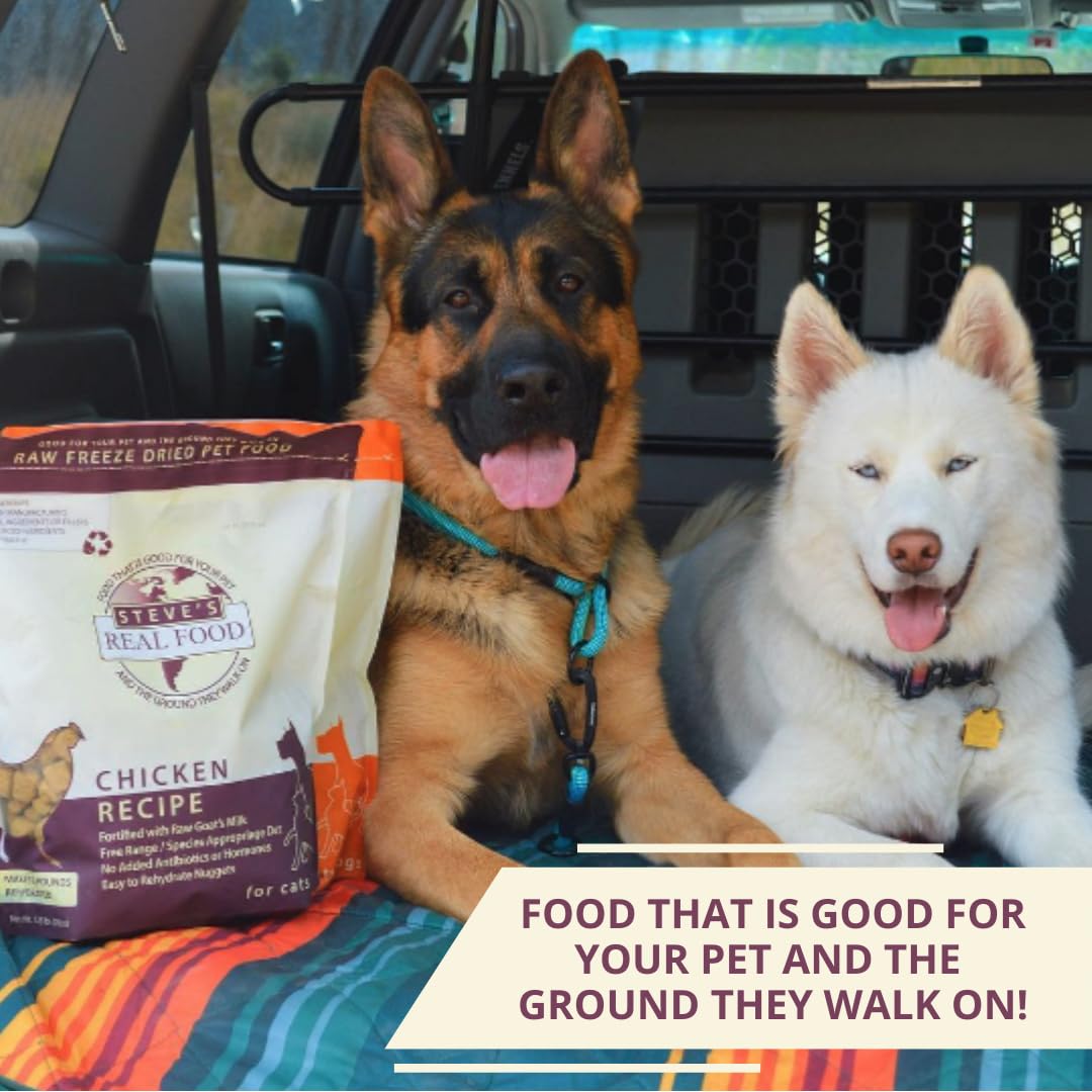 Steve's Real Food nuggets in cat bowl demonstrate cat-friendly crunch.