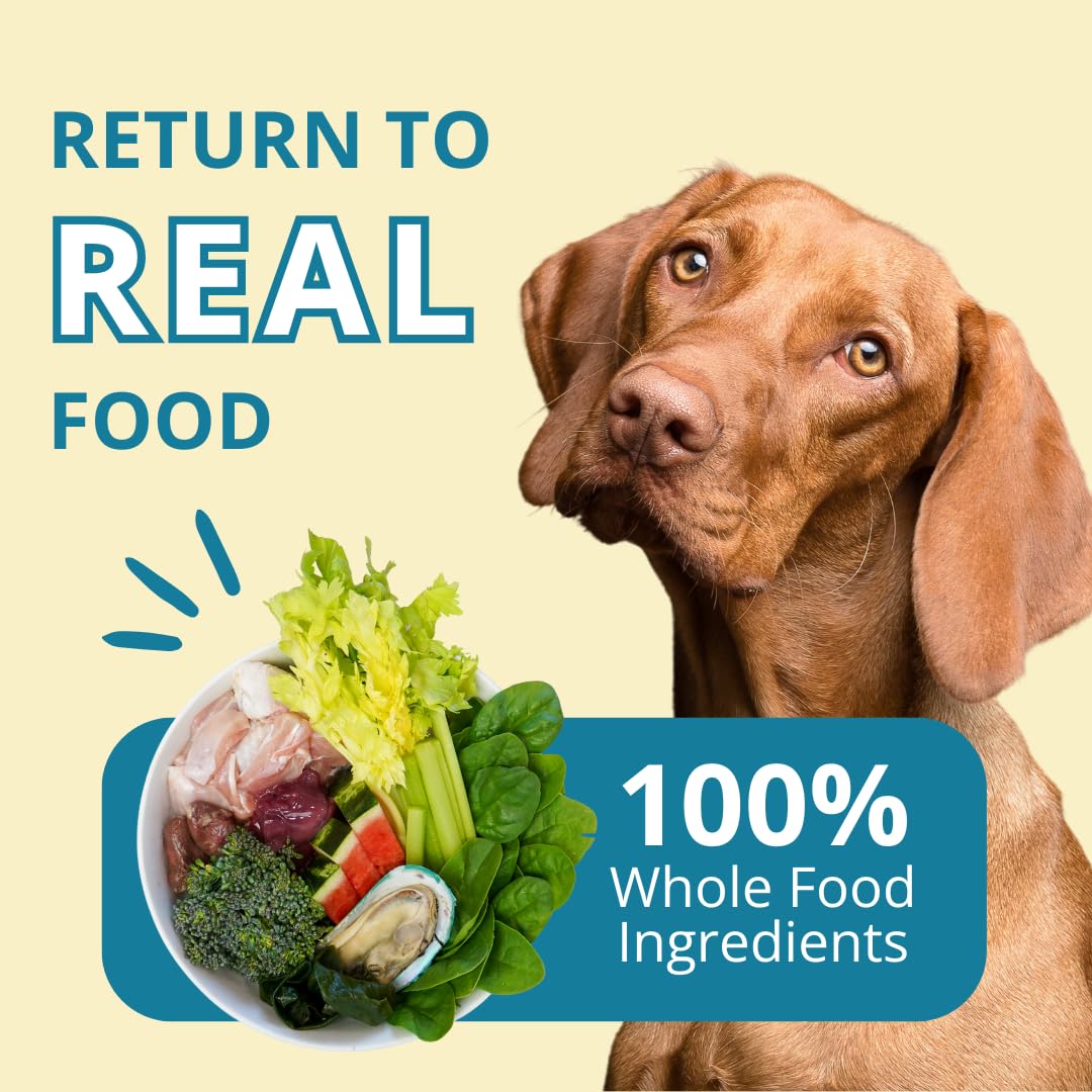 Steve's Real Food turkey nuggets packaging front displays brand trust and quality.