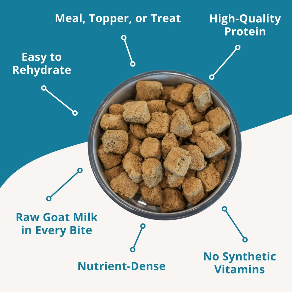 Steve's Real Food turkey nuggets in bowl show palatability for picky eaters.