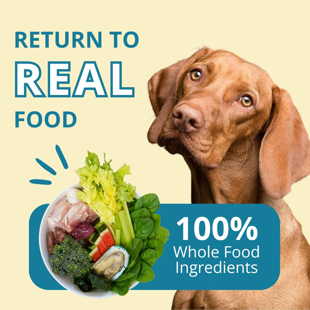 Steve's Real Food raw nuggets top meals for convenience.