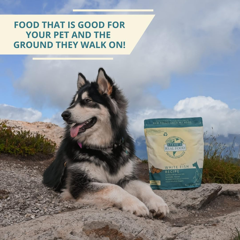 Steve's Real Food trusted since 1998 as a pioneer in raw pet diet.