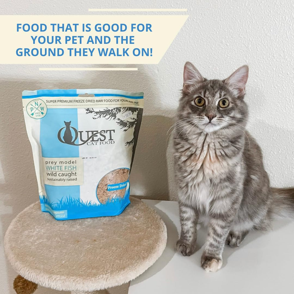 Nutrition facts from Quest show omega-3 and protein content