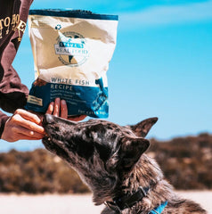 Steve's Real Food white fish recipe packaging emphasizes quality ingredients for pets.