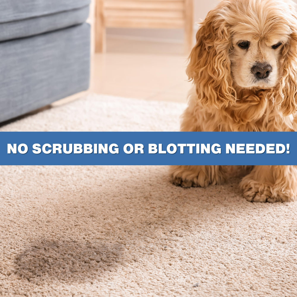 Stink Free Pet Urine Odor Eliminator spray nozzle enables quick rug refresh.