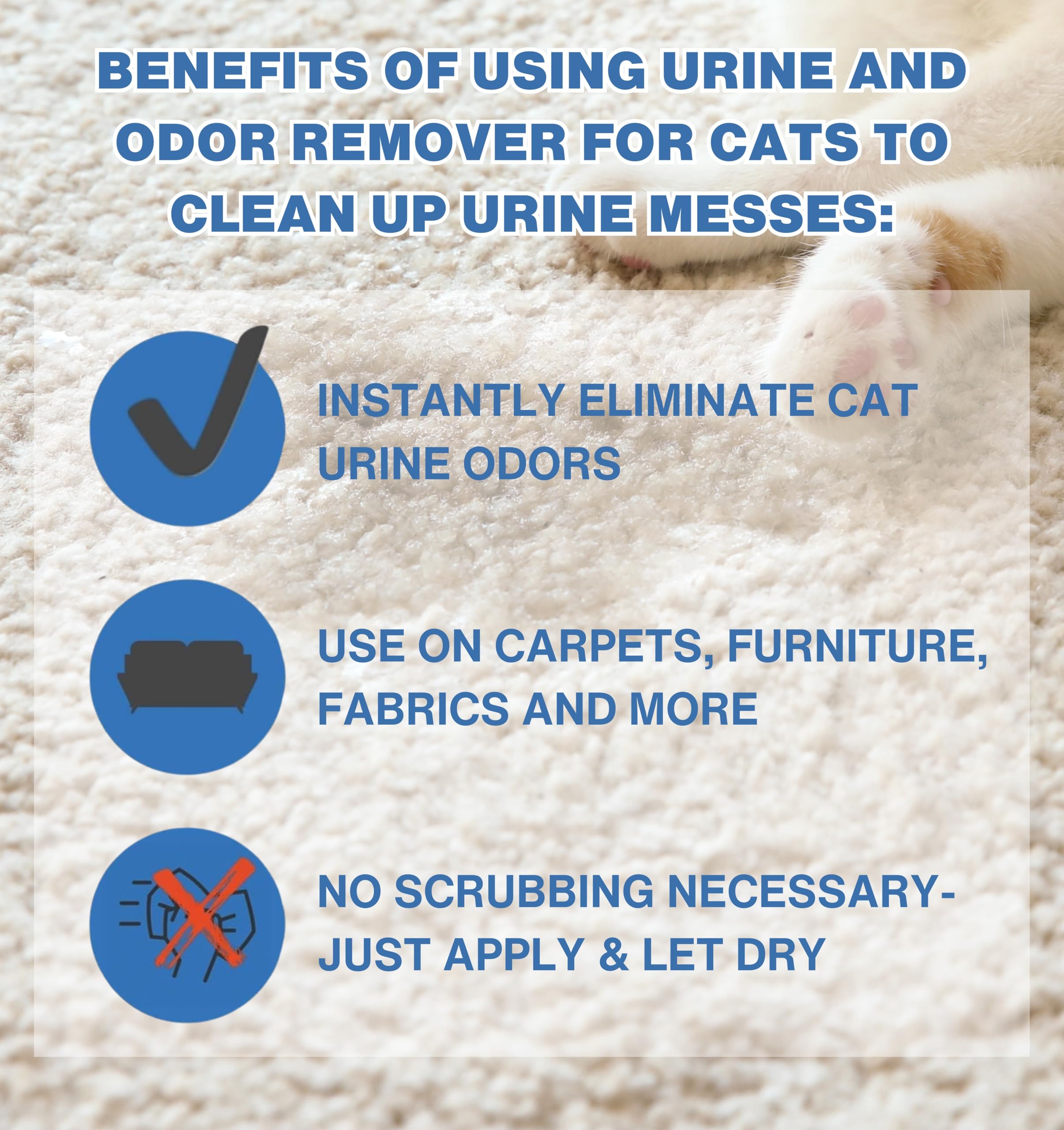 Stink Free Urine Odor Remover on Carpet Demonstrates odor removal for soft surfaces.