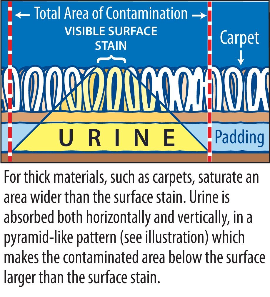 Stink Free Urine Odor Remover bottle label close-up Emphasizes non-toxic, professional-strength formula.