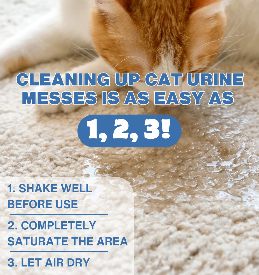 Stink Free Urine Odor Remover on Rug Shows refreshed fibers and odor relief.