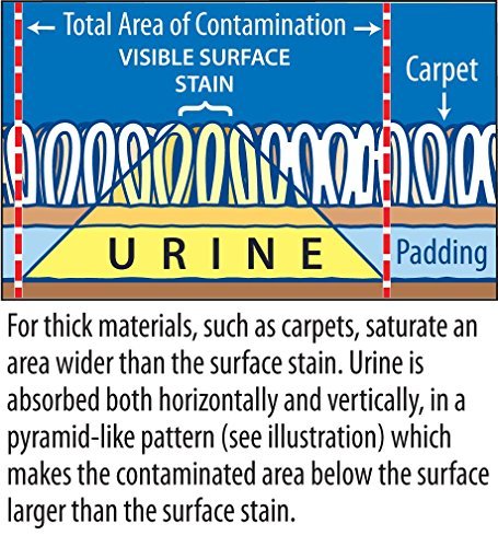 Stink Free Urine Odor Remover in travel kennel