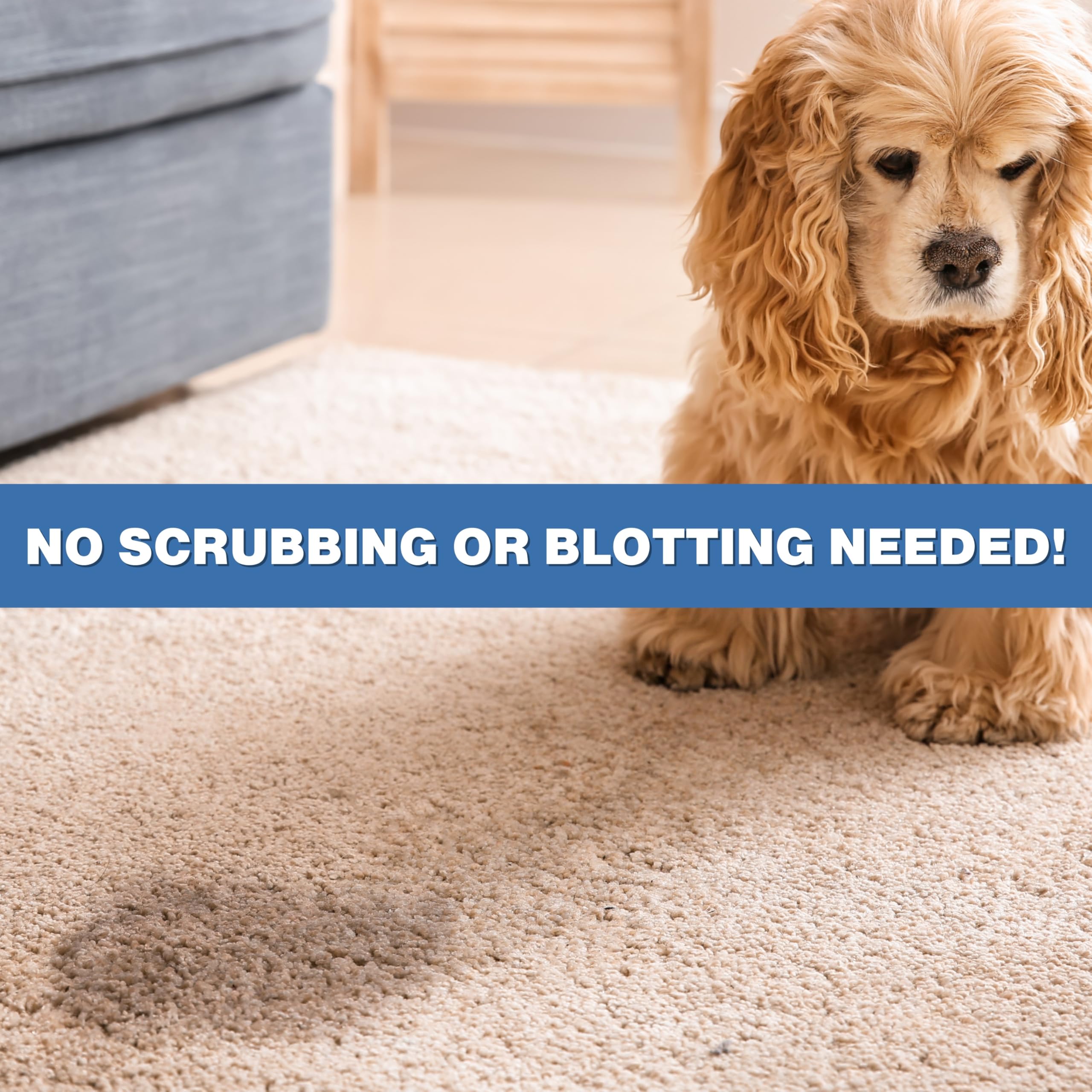 Stink Free Urine Odor Remover used on upholstery and bedding
