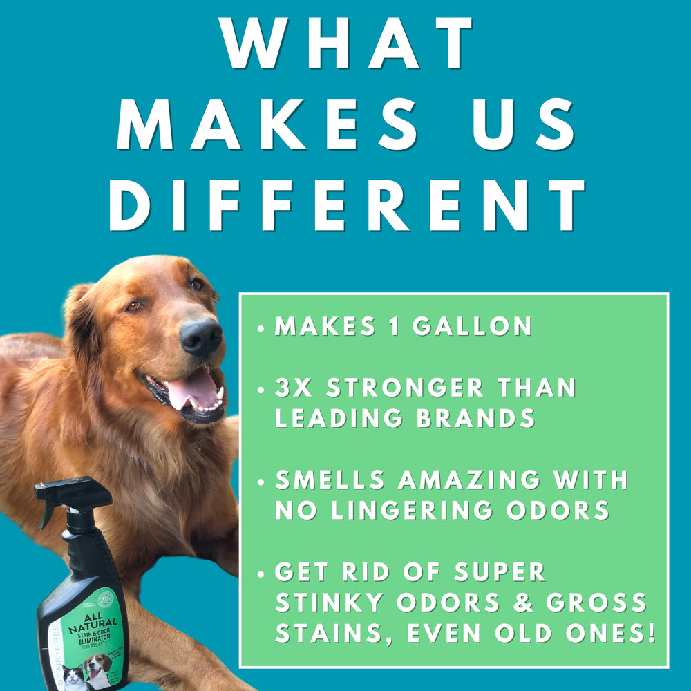 Stink Free cat-litter-box-cleaning spray uses enzymes for freshness.