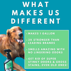 Stink Free cat-litter-box-cleaning spray uses enzymes for freshness.
