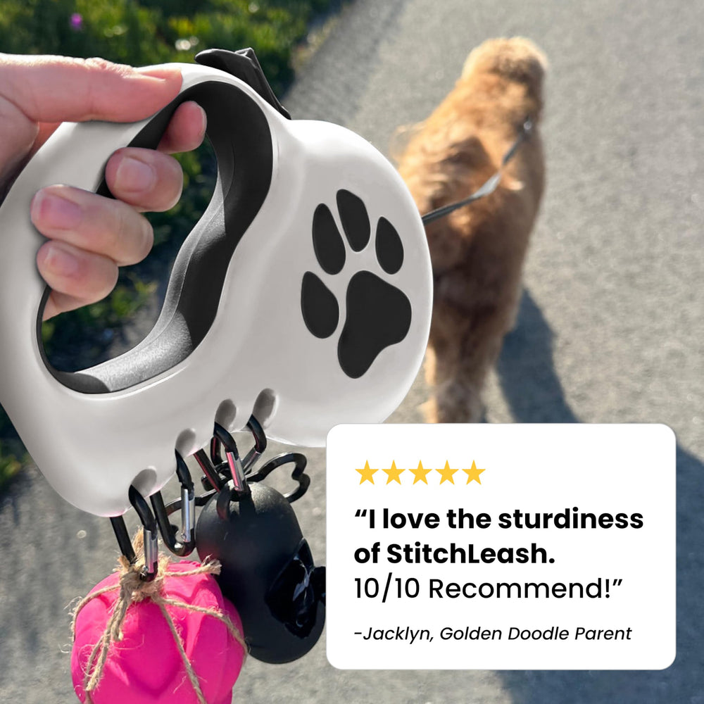 StitchLeash 16ft tape extension closeup emphasizes reach and control on medium-distance walks.