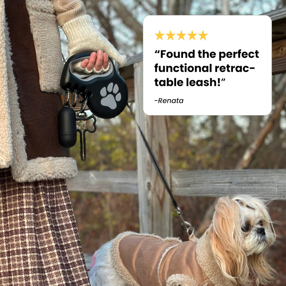 StitchLeash four-hooks setup helps organize essential items during walks.