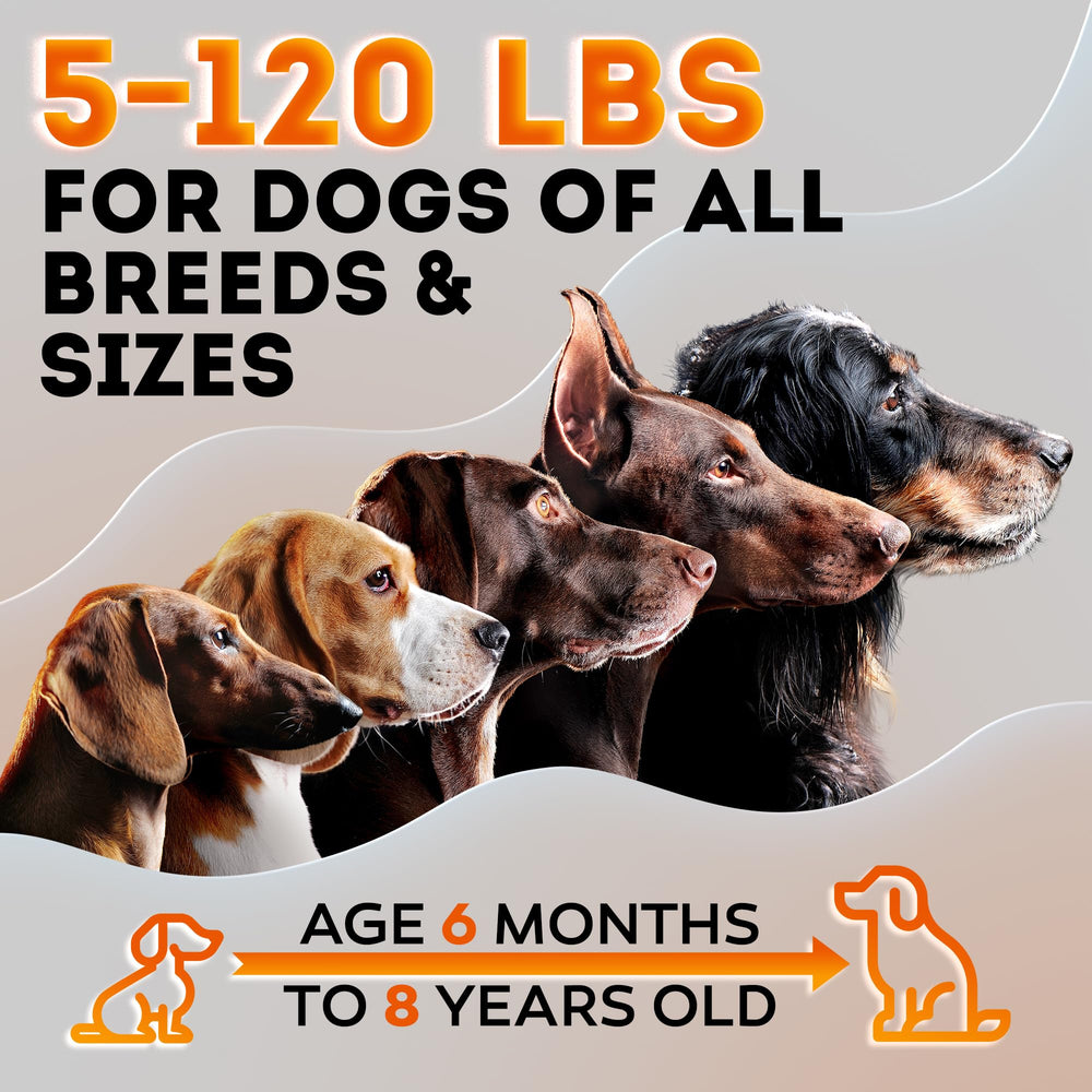 STOPWOOFER button-activated bark control in-use, providing quick redirection.