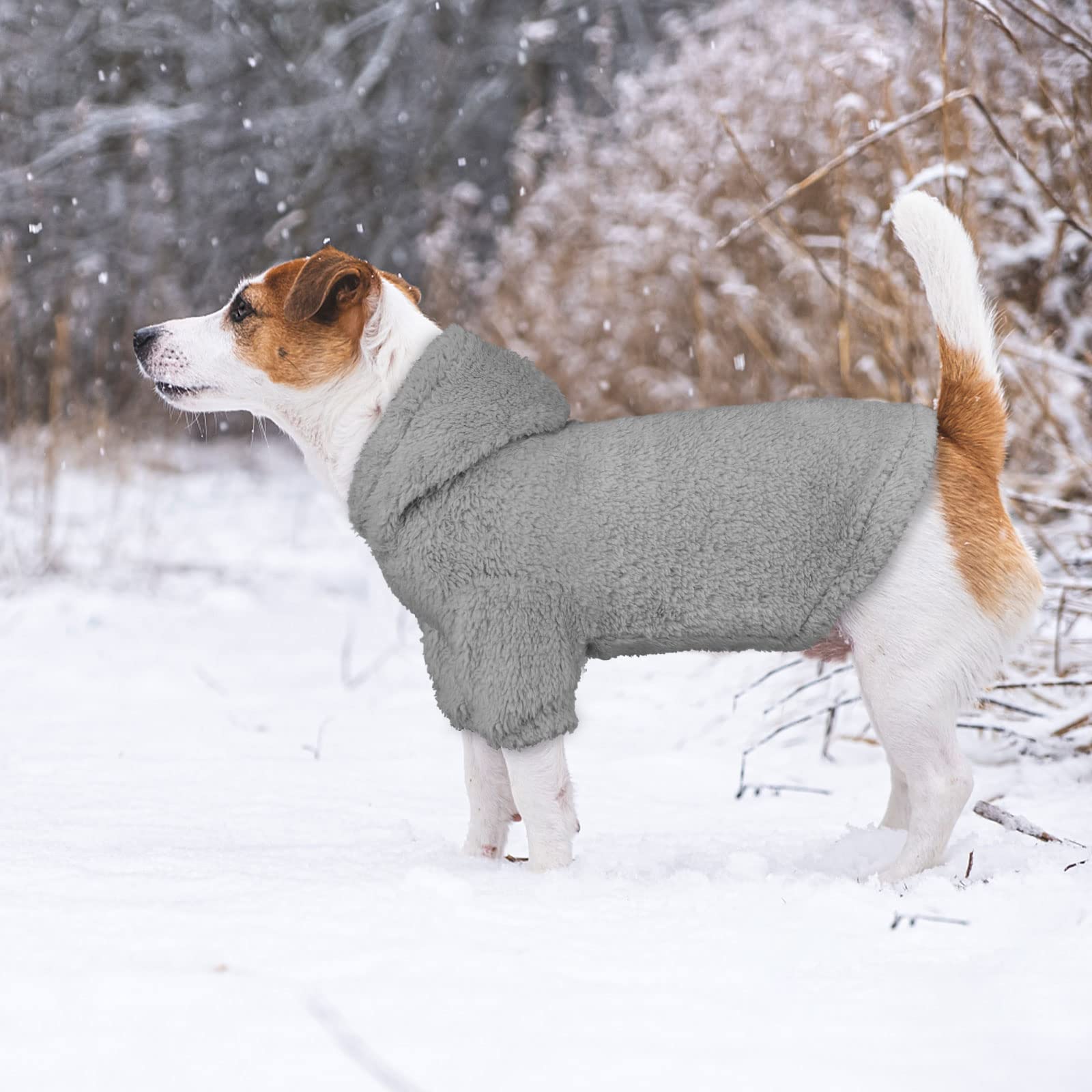 Stpiatue dog hoodie grey back view emphasizes full coverage and snug fit.