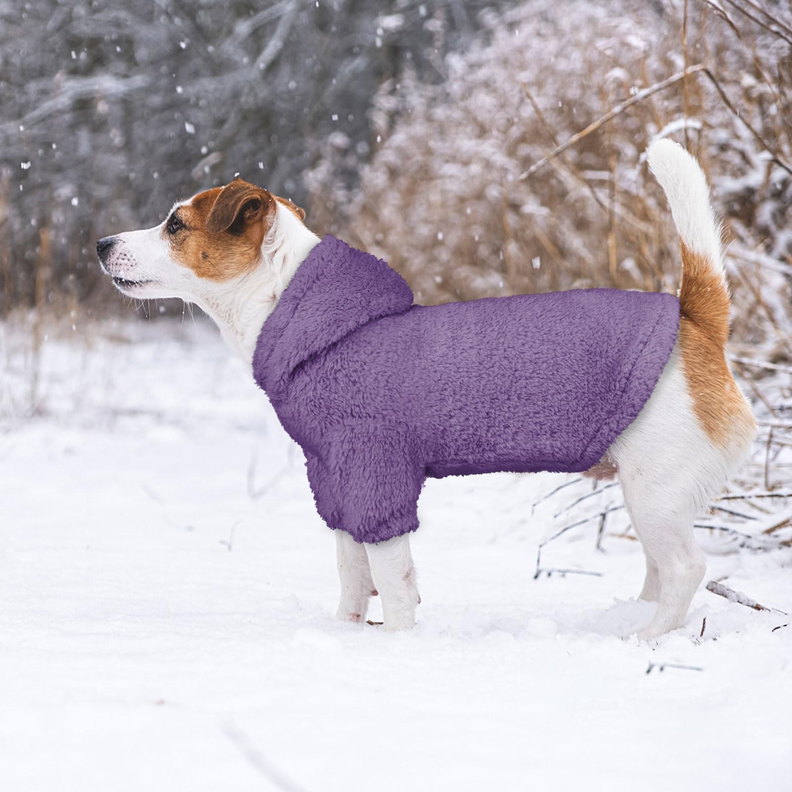 Stpiatue dog hoodie purple back view highlights cozy coverage for chilly walks