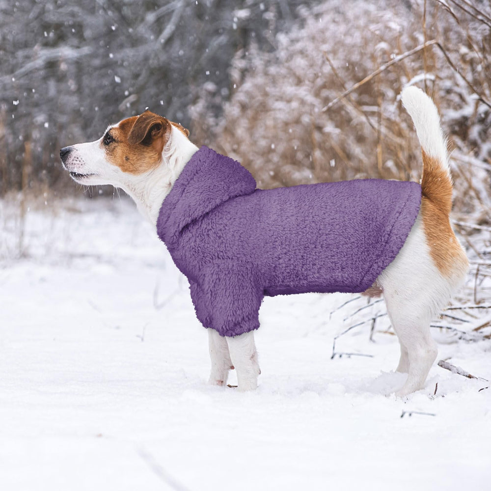 Stpiatue dog hoodie purple back view highlights cozy coverage for chilly walks