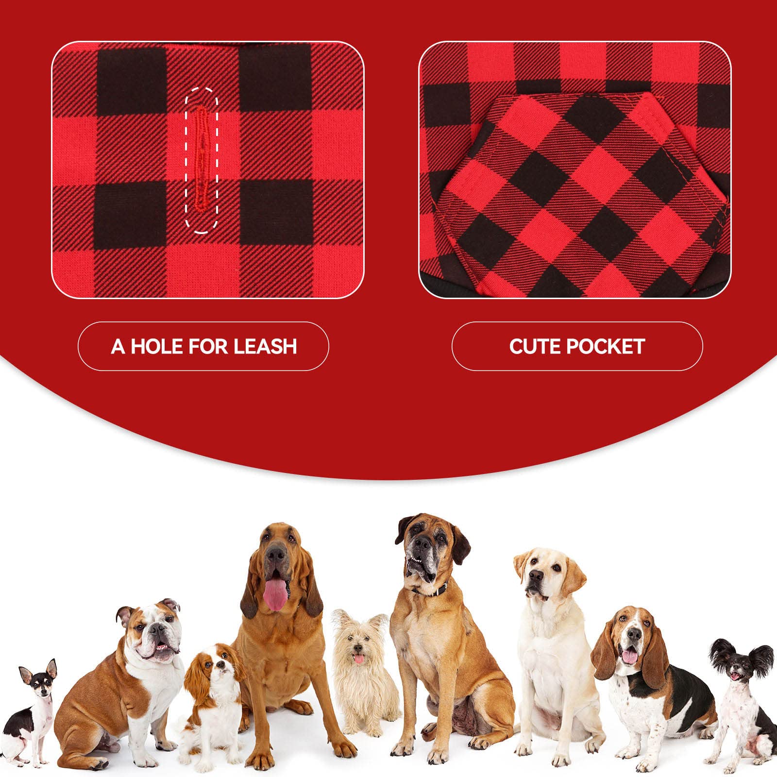 Stpiatue dog hoodie back length highlights generous coverage