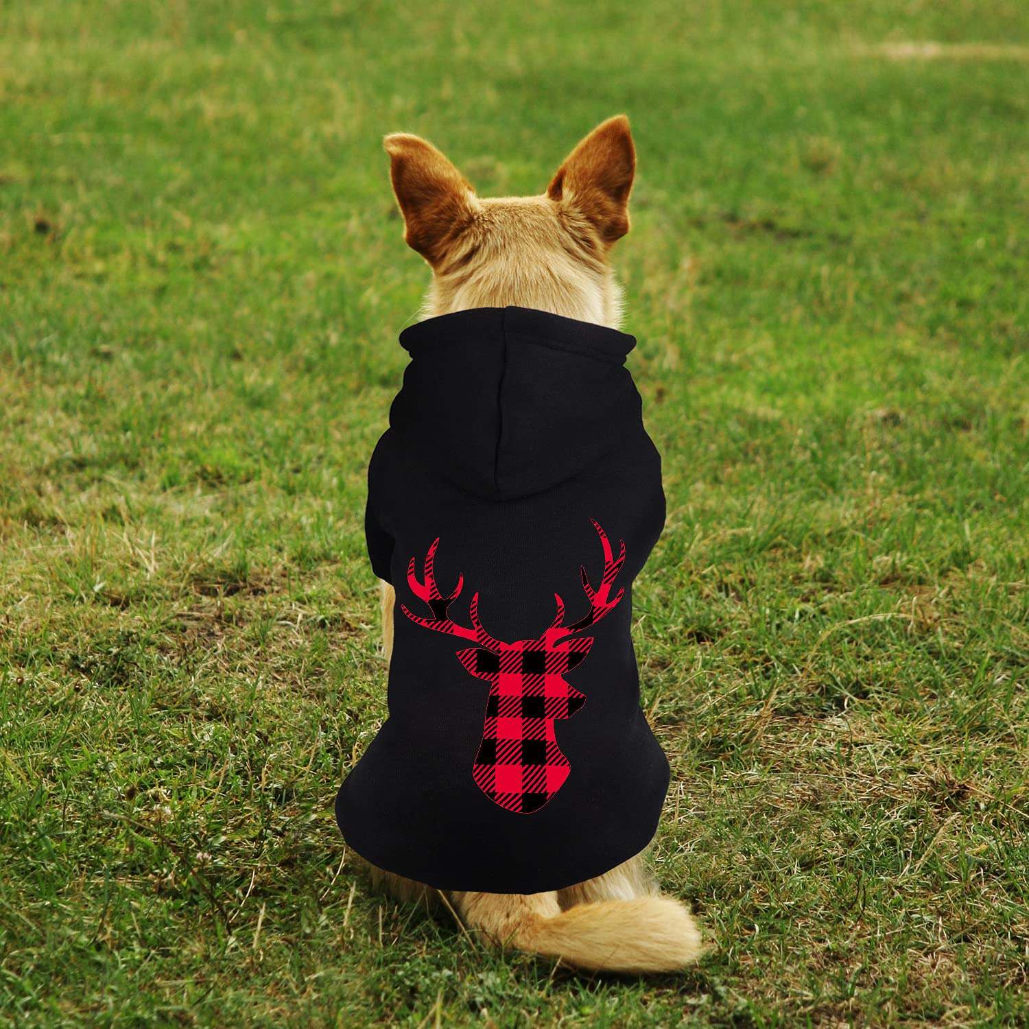 Stpiatue dog hoodie size-chart guide helps pick the right fit and comfort.
