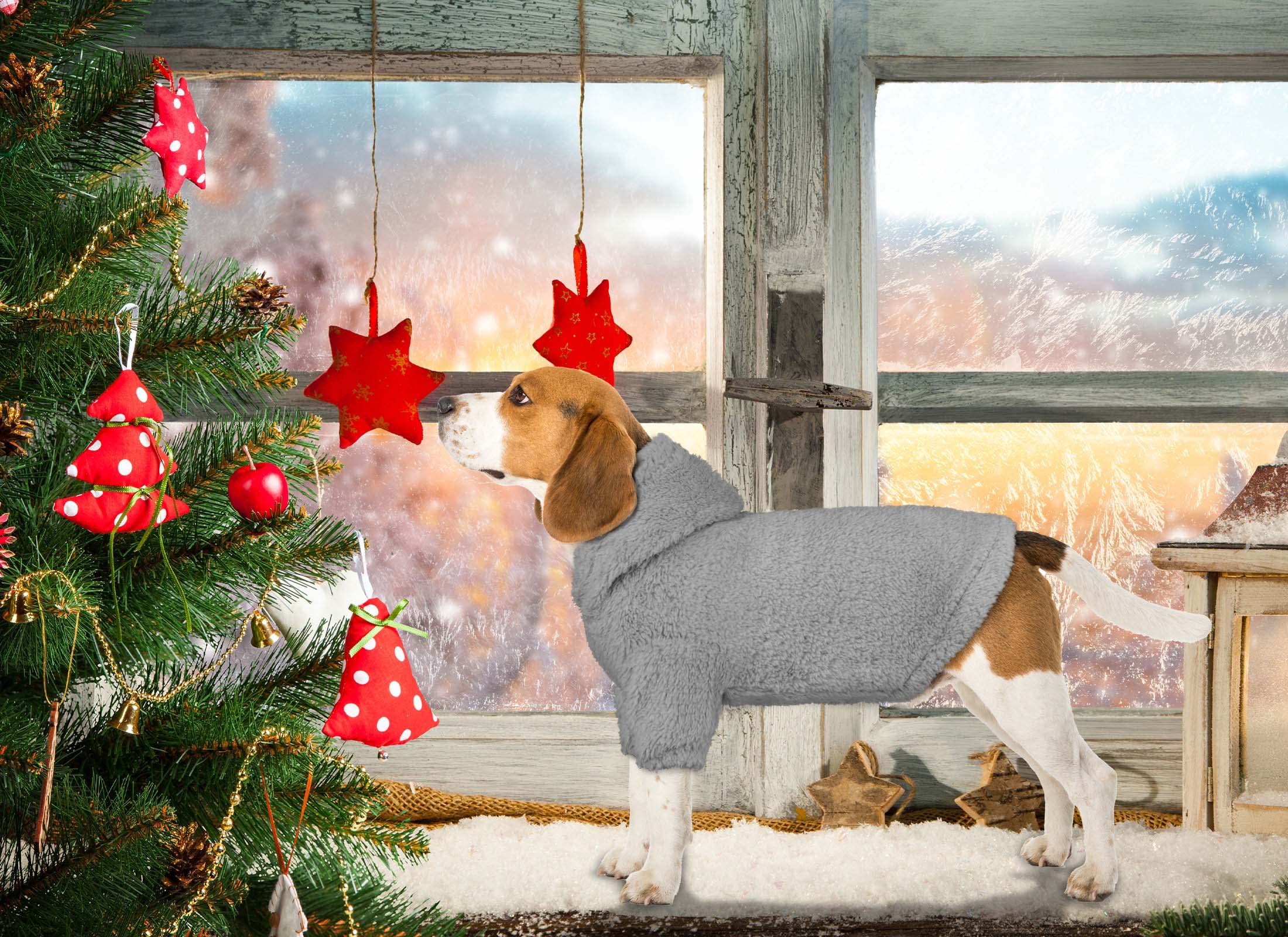 Stpiatue dog hoodie care image demonstrates machine washable convenience.