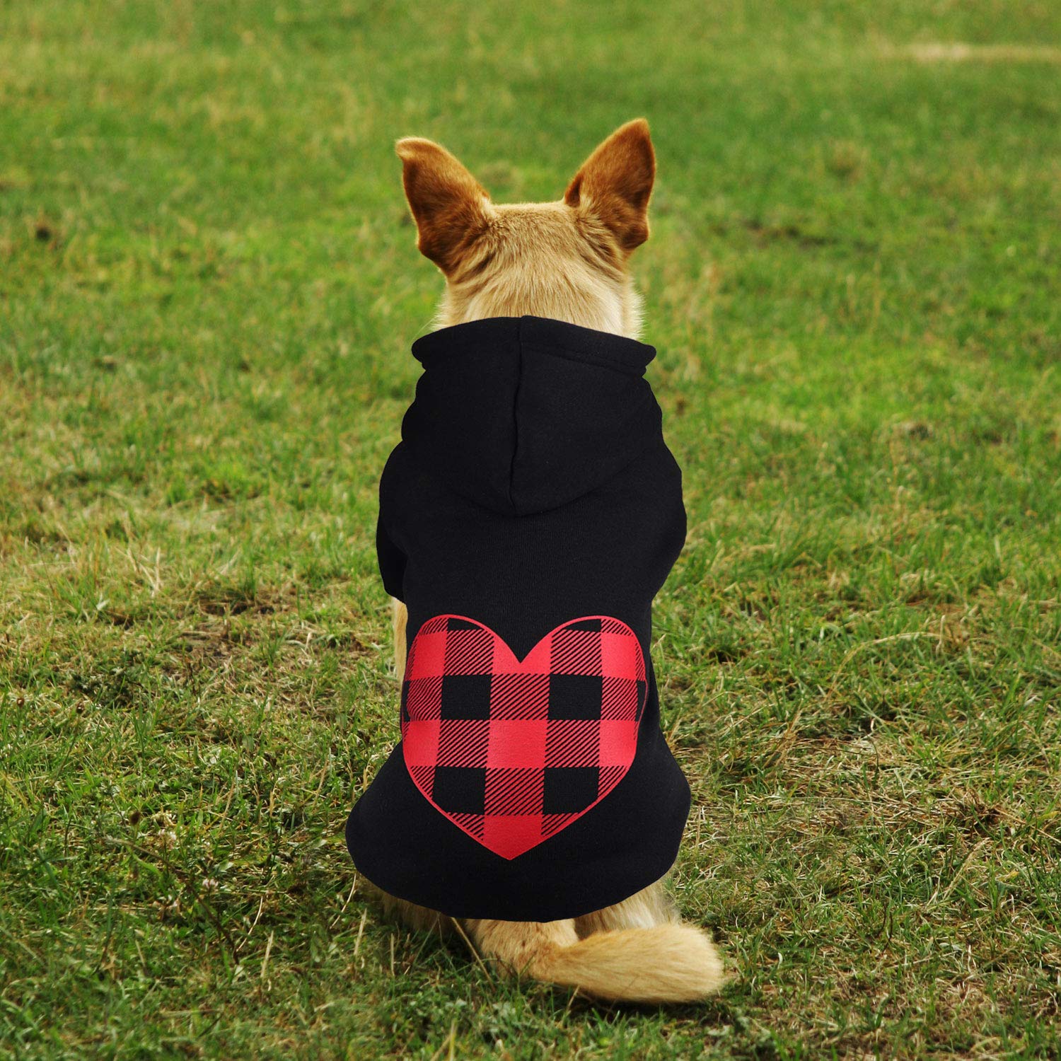 Stpiatue dog hoodie ideal for winter outdoor walks