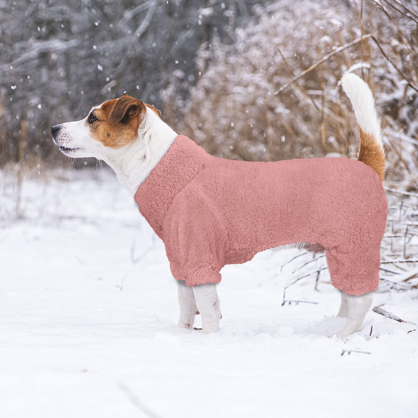 Estilo casual rosa de Stpiatue, perfecto como regalo para perros.