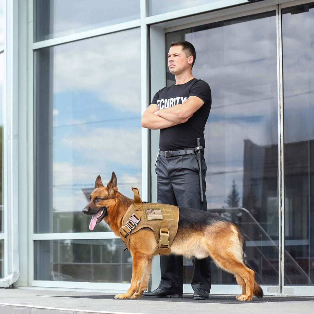 Stpiatue tactical dog harness shown with optional gear and training use.