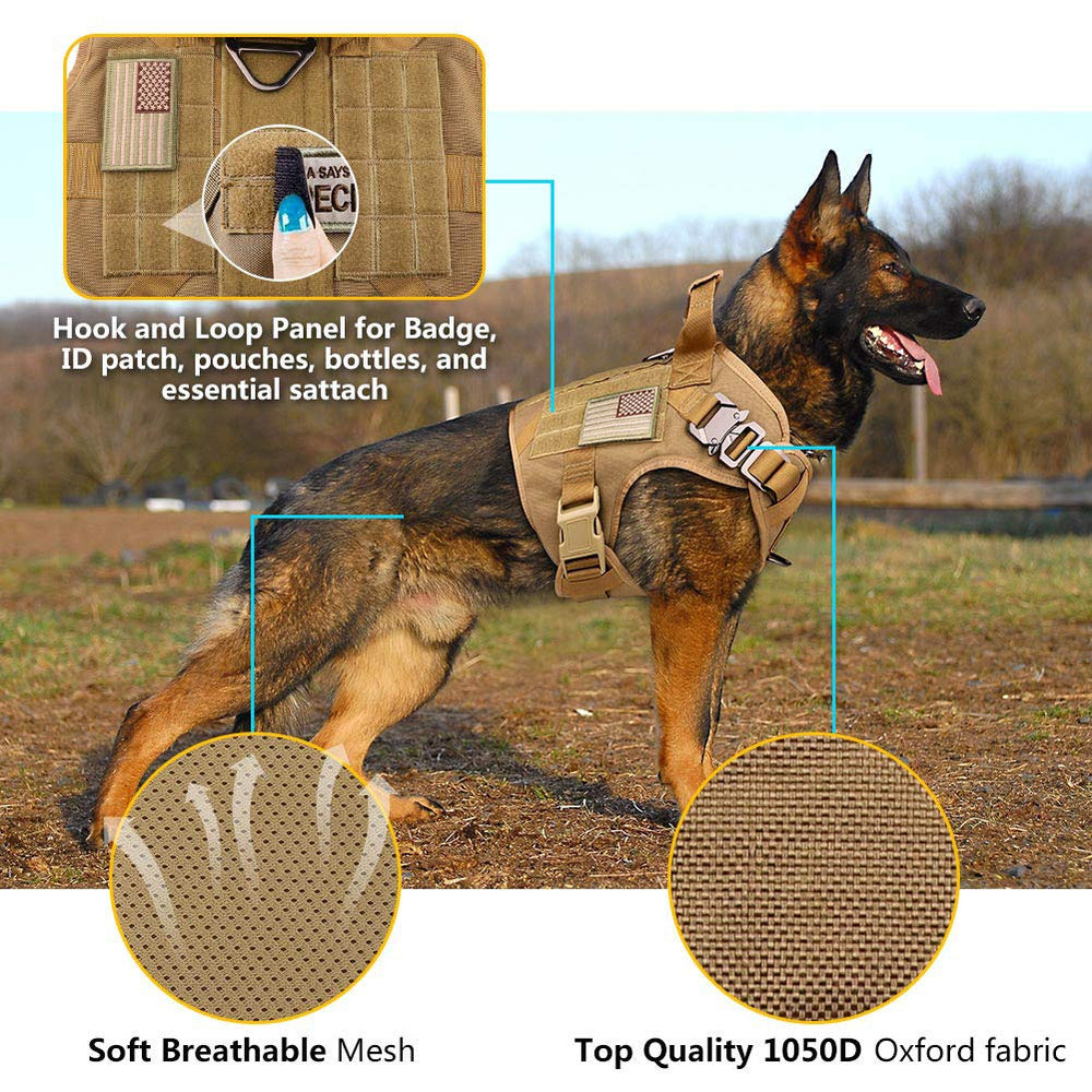 Stpiatue tactical dog harness vest close-up of heavy-load points and sturdy buckles.