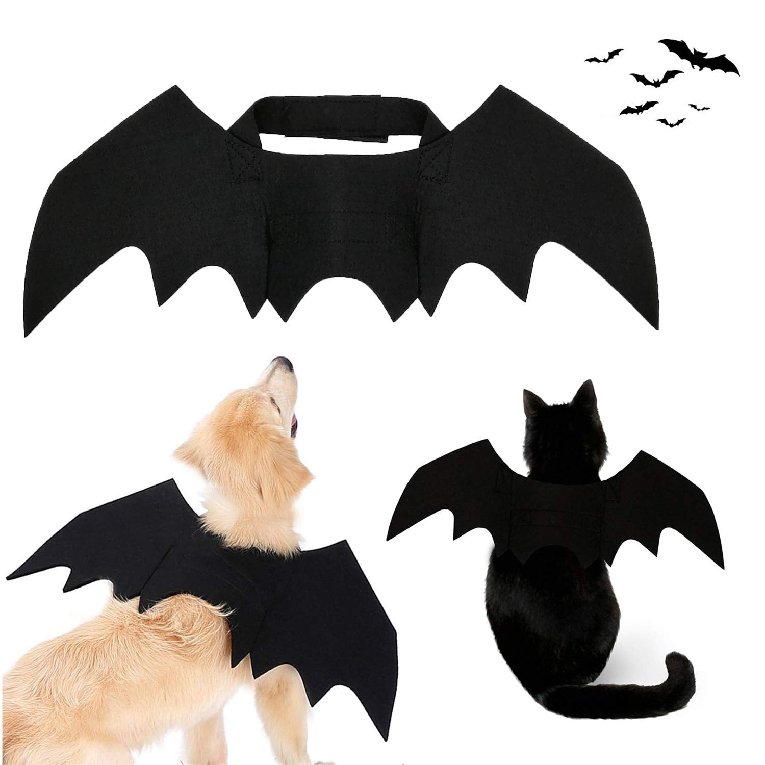 Strangefly bat wings pet costume worn by a cat for Halloween-ready cuteness