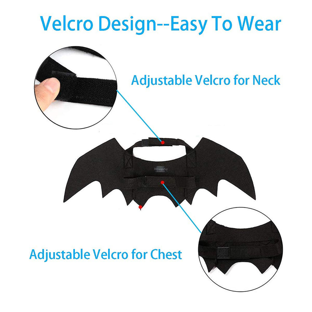 Strangefly bat wings pet costume closeup-detail highlights lightweight build and playful design