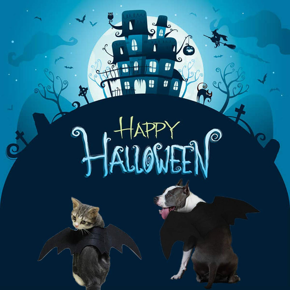 Strangefly bat wings pet costume on a small dog for party-ready fun and laughs
