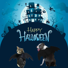 Strangefly bat wings pet costume on a small dog for party-ready fun and laughs