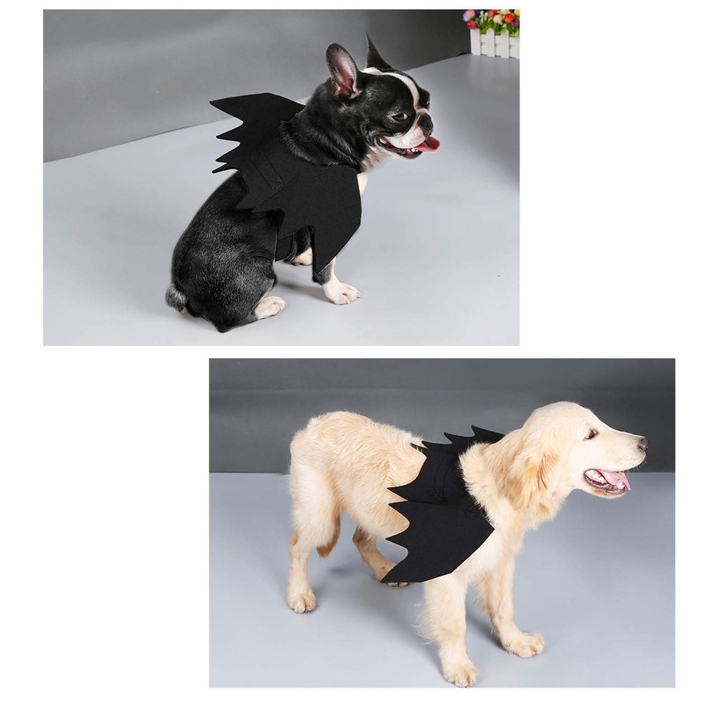 Strangefly bat wings pet costume side-view shows dramatic silhouette for photos