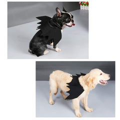 Strangefly bat wings pet costume side-view shows dramatic silhouette for photos