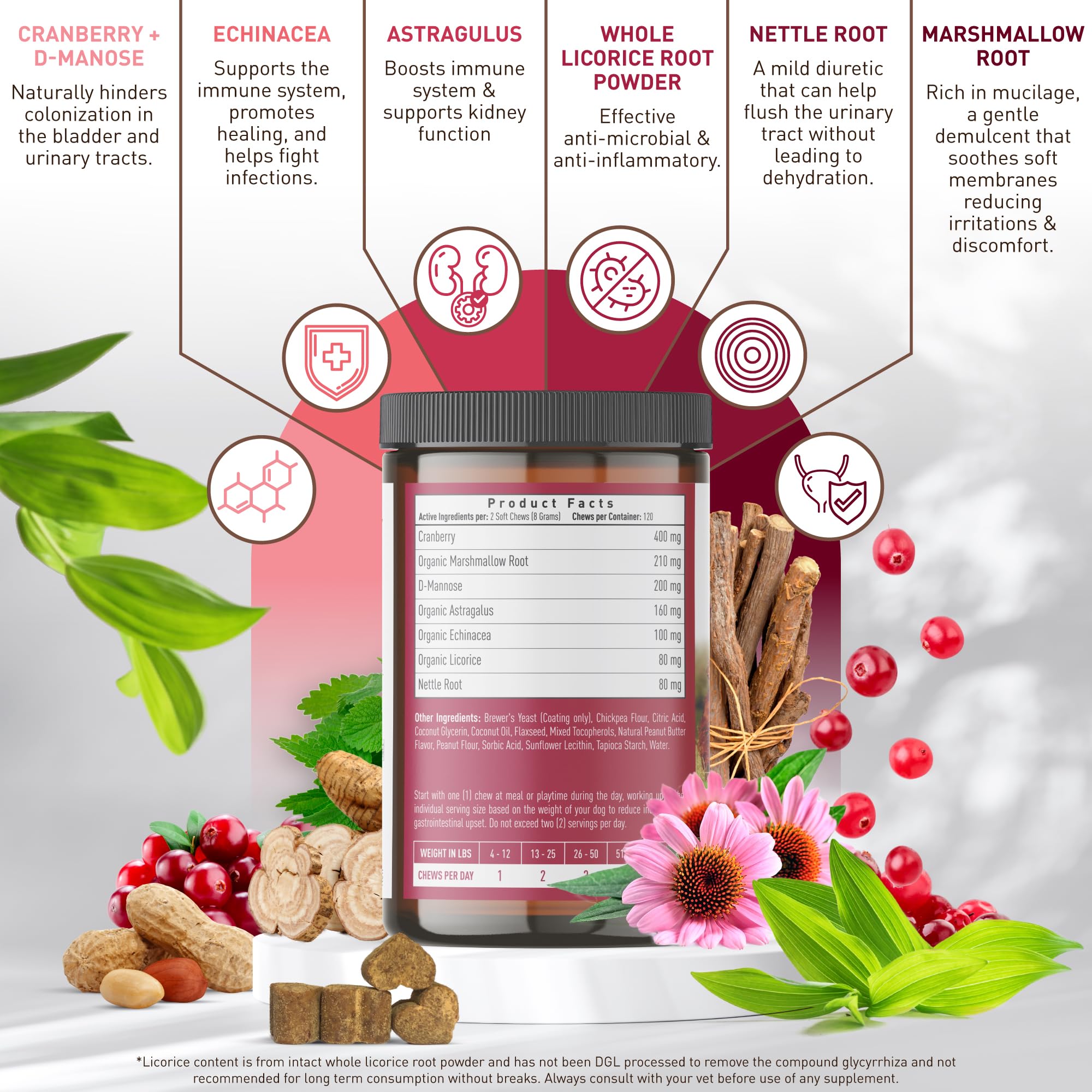 Strawfield Pets Cranberry Bladder & UTI Chews dog eating shows daily enjoyment.