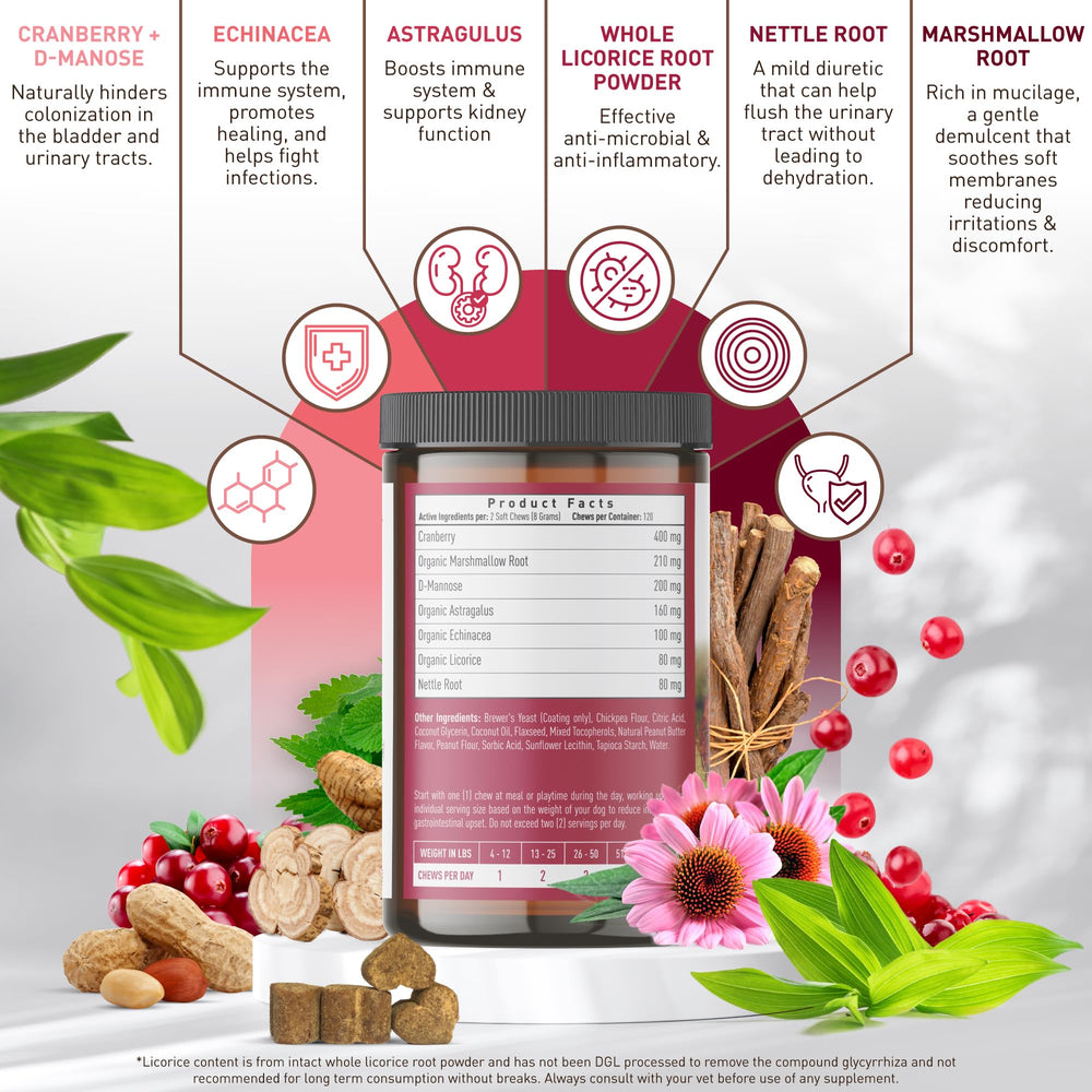 Strawfield Pets Cranberry Bladder & UTI Chews dog eating shows daily enjoyment.