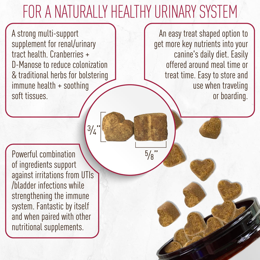 Strawfield Pets Cranberry Bladder & UTI Chews herbs closeup emphasizes immune-support botanicals.