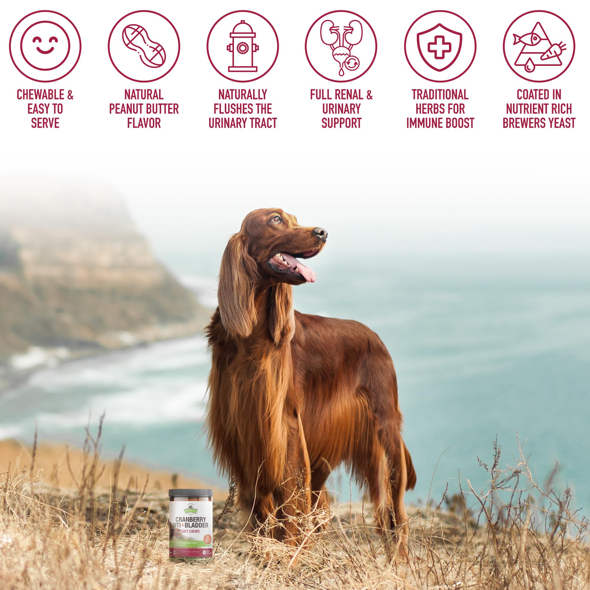Strawfield Pets Cranberry Bladder & UTI Chews life-stages use demonstrates universal urinary support.