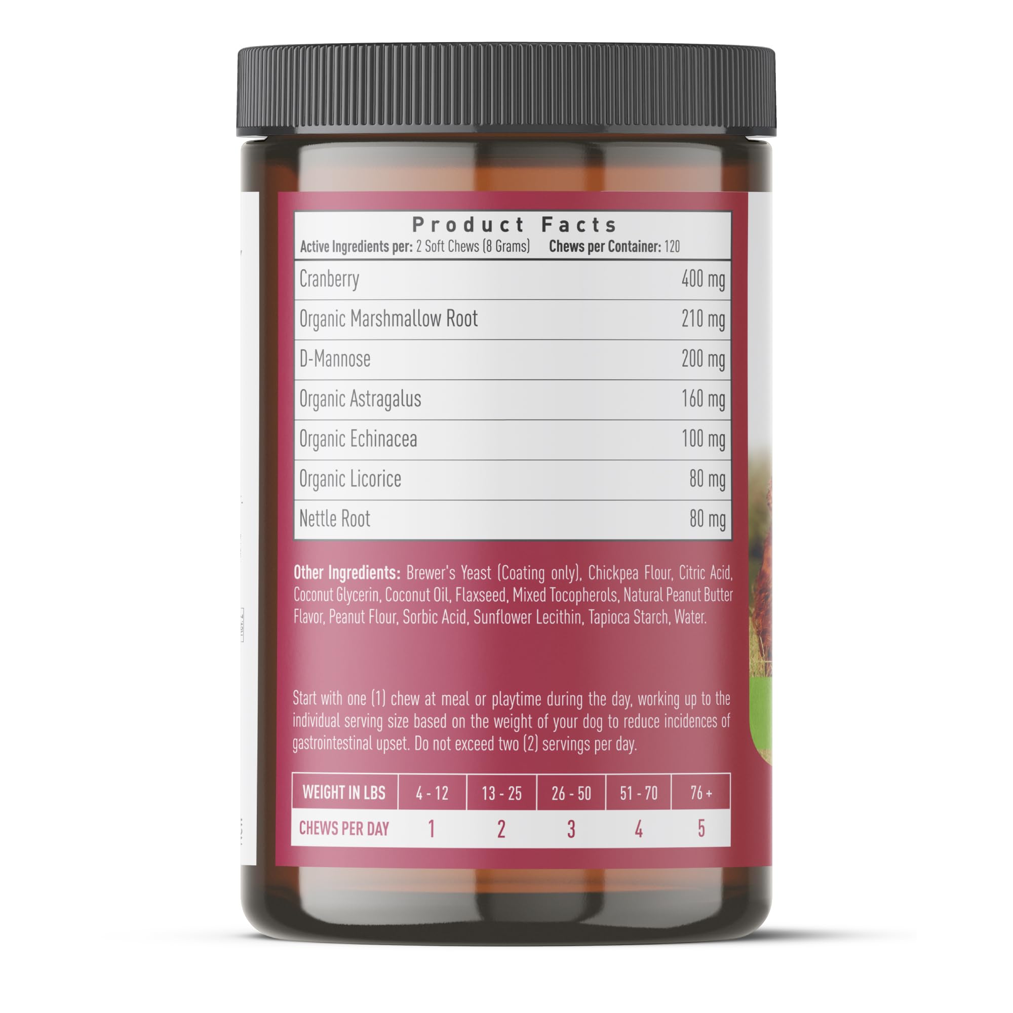 Strawfield Pets Cranberry Bladder & UTI Chews product shot suggests everyday urinary wellness routine.