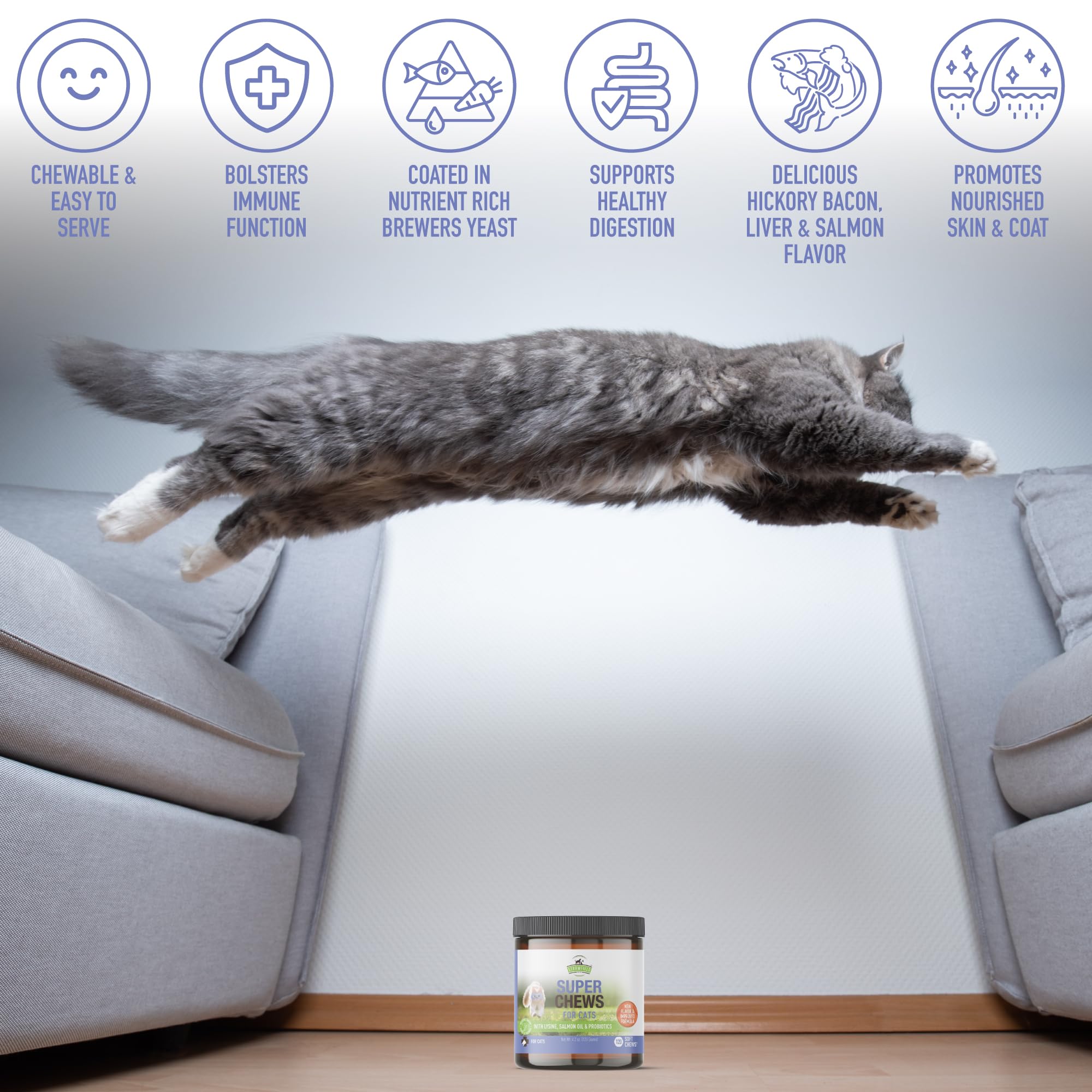 Strawfield Pets Super Chews coat-shine visual captures how salmon oil supports fur brightness.