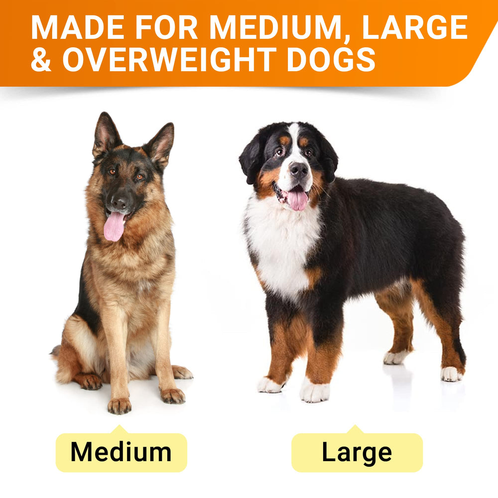 STRELLALAB advanced mobility chews soft treats boost daily joint comfort.
