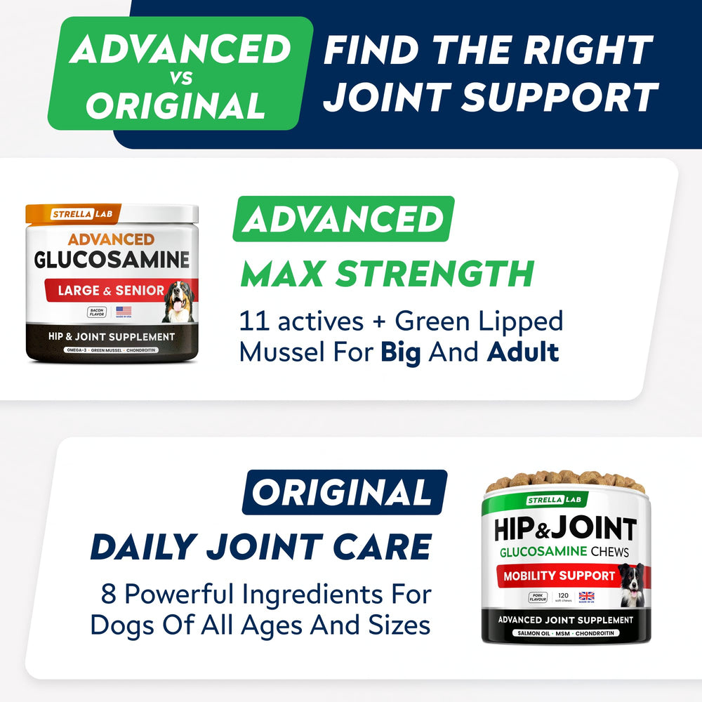 STRELLALAB bacon flavor chews for dogs ready to support joint comfort.