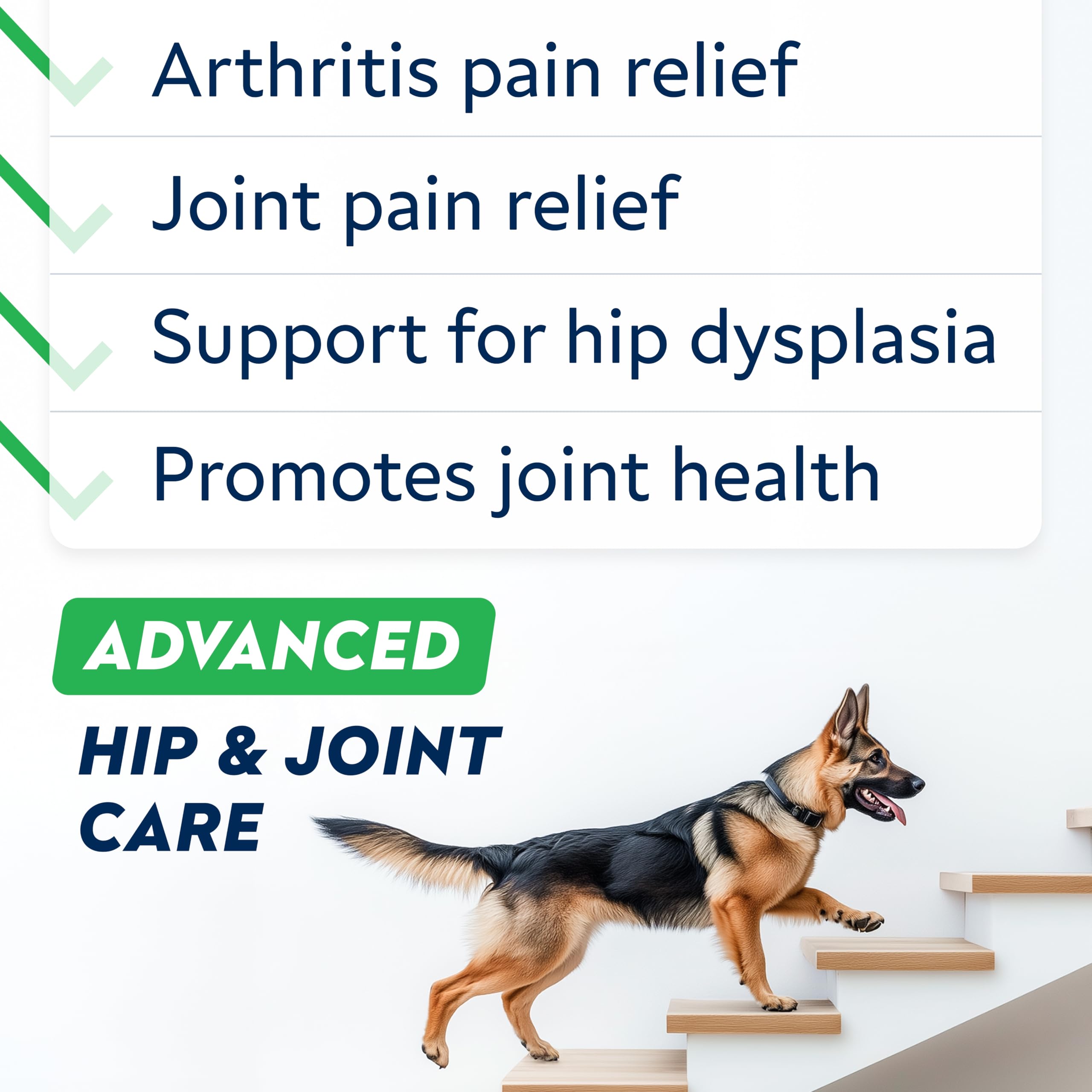 STRELLALAB Collagen dog joint chews showcase collagen-based care for flexible hips