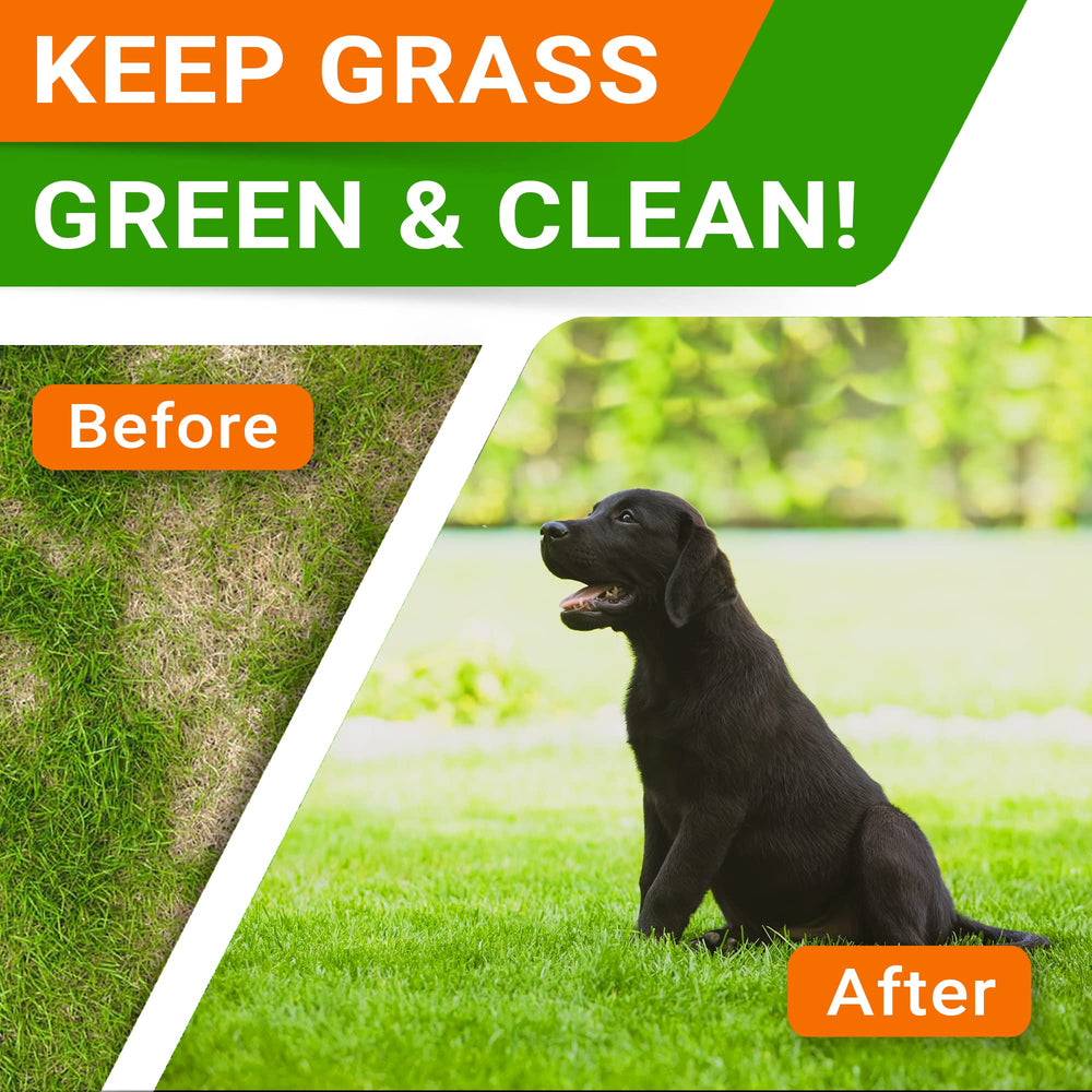 STRELLALAB DL-Methionine-Enzyme Chews closeup emphasizes stain-reducing lawn support.